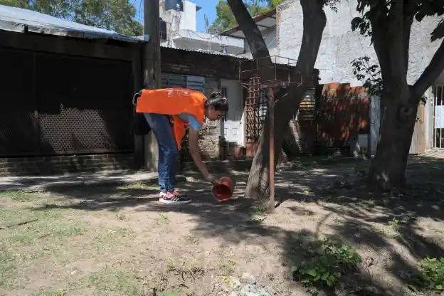 Rosario: Se actualizaron los datos sobre casos de dengue