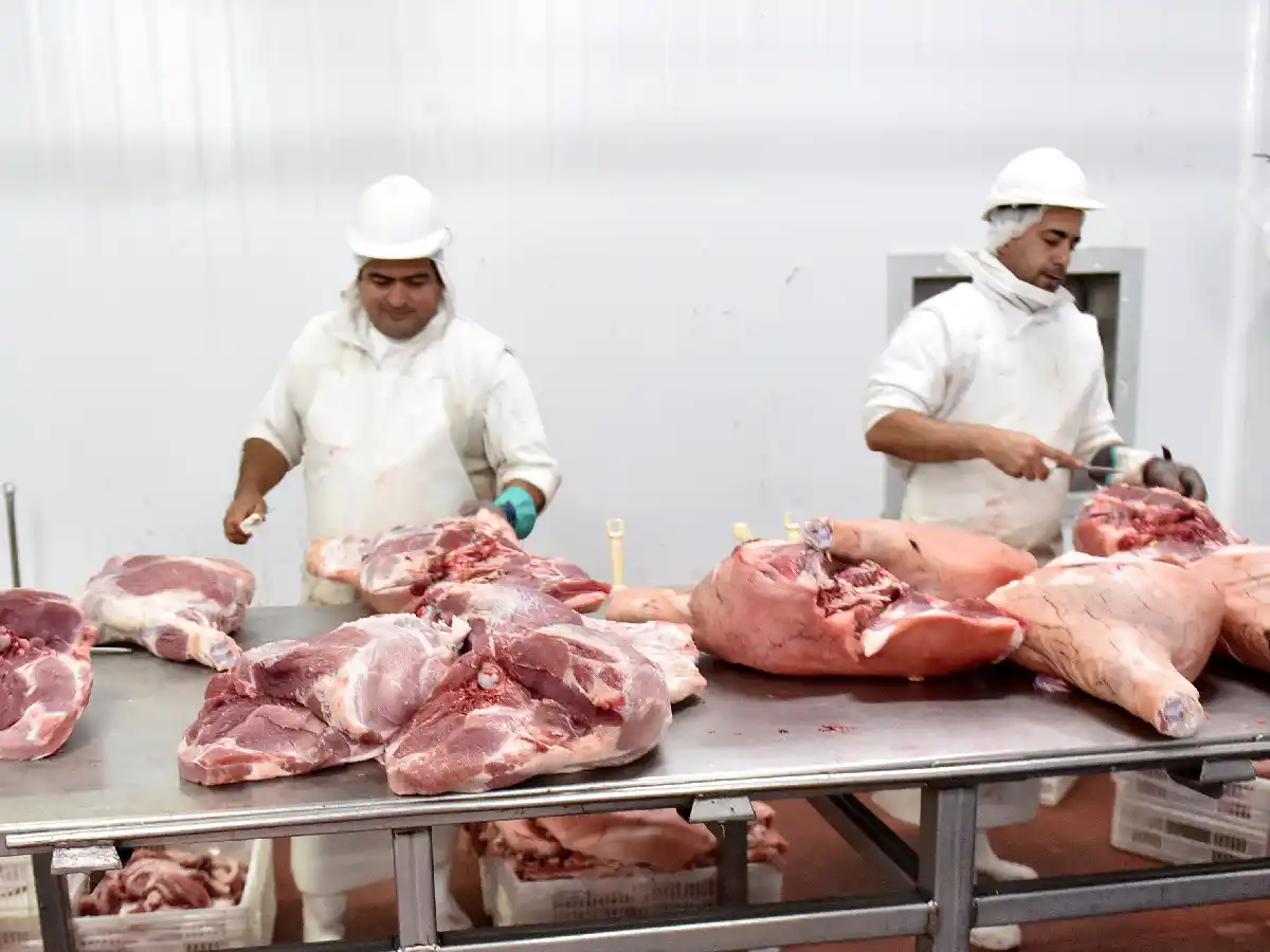 Industria frigorífica: eliminan la obligatoriedad de impresión de formulario