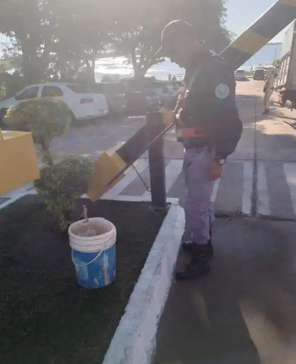 Rescataron a una serpiente "yarará” en la explanada del Puerto