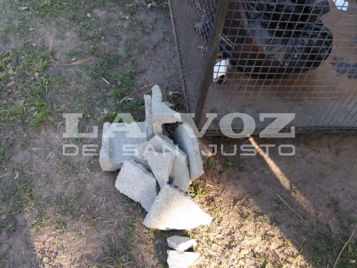 A ladrillazos rompieron la puerta y robaron en una heladería