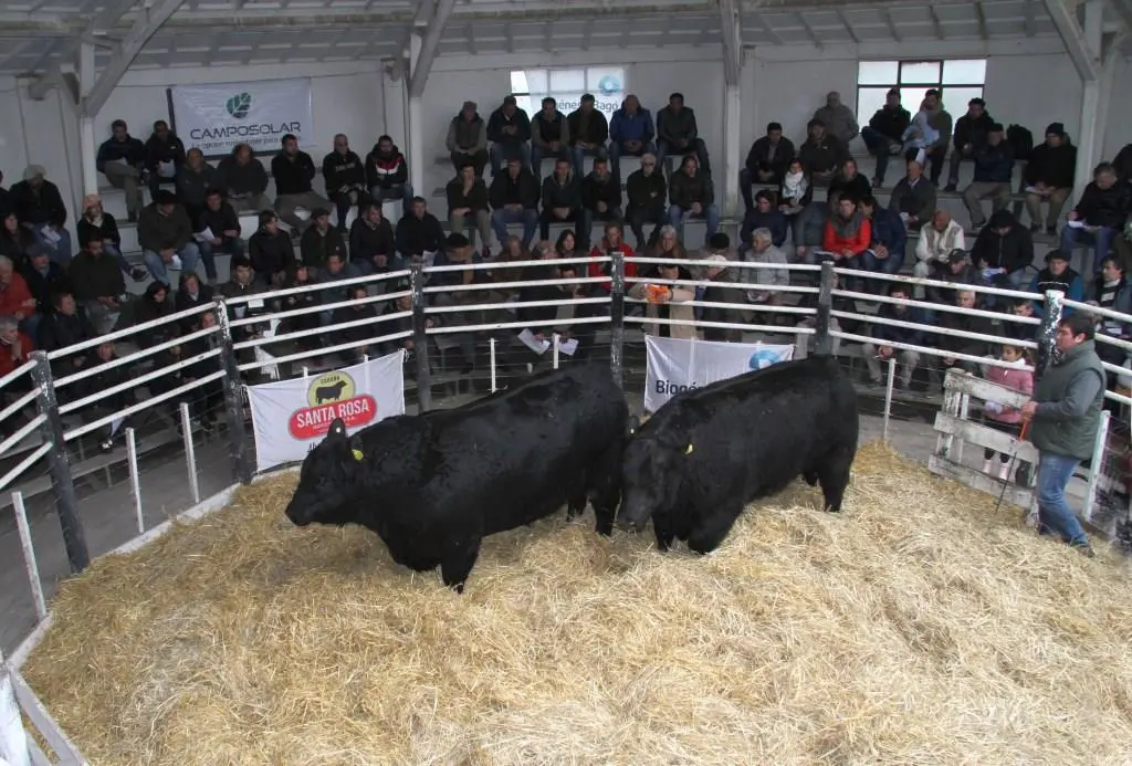 Santa Rosa vende en la pista y en la web