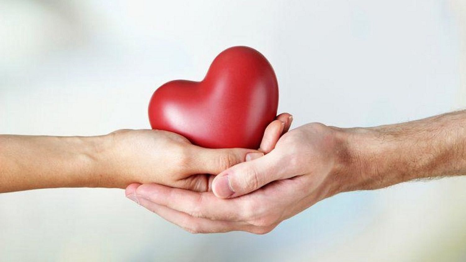 Día Nacional de la Donación de Órganos