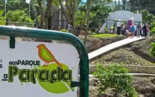 CON MACHETE: un fallecido y tres heridos deja ataque de encapuchados en parque La Parada de Táchira