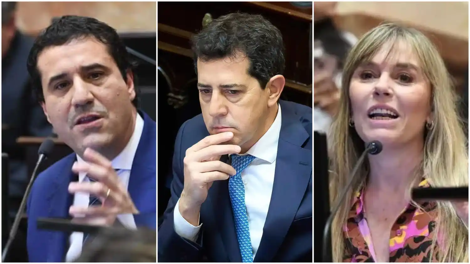 Abad, Wado y Di Tullio, los tres representantes bonaerenses en la Cámara de Senadores de la Nación.