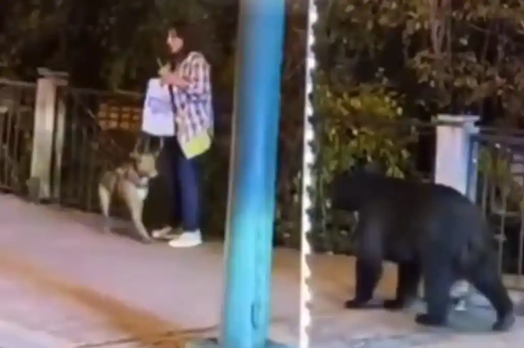 Encuentro inesperado