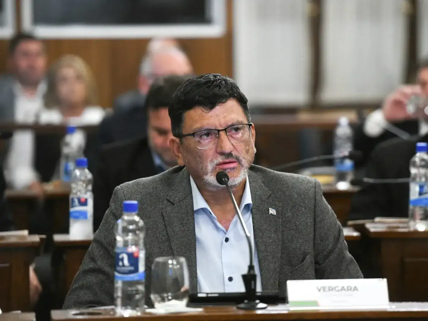 Vergara: “Michel debería recordar el papelón de la gestión de Bordet en la Hidrovía antes de dar lecciones”