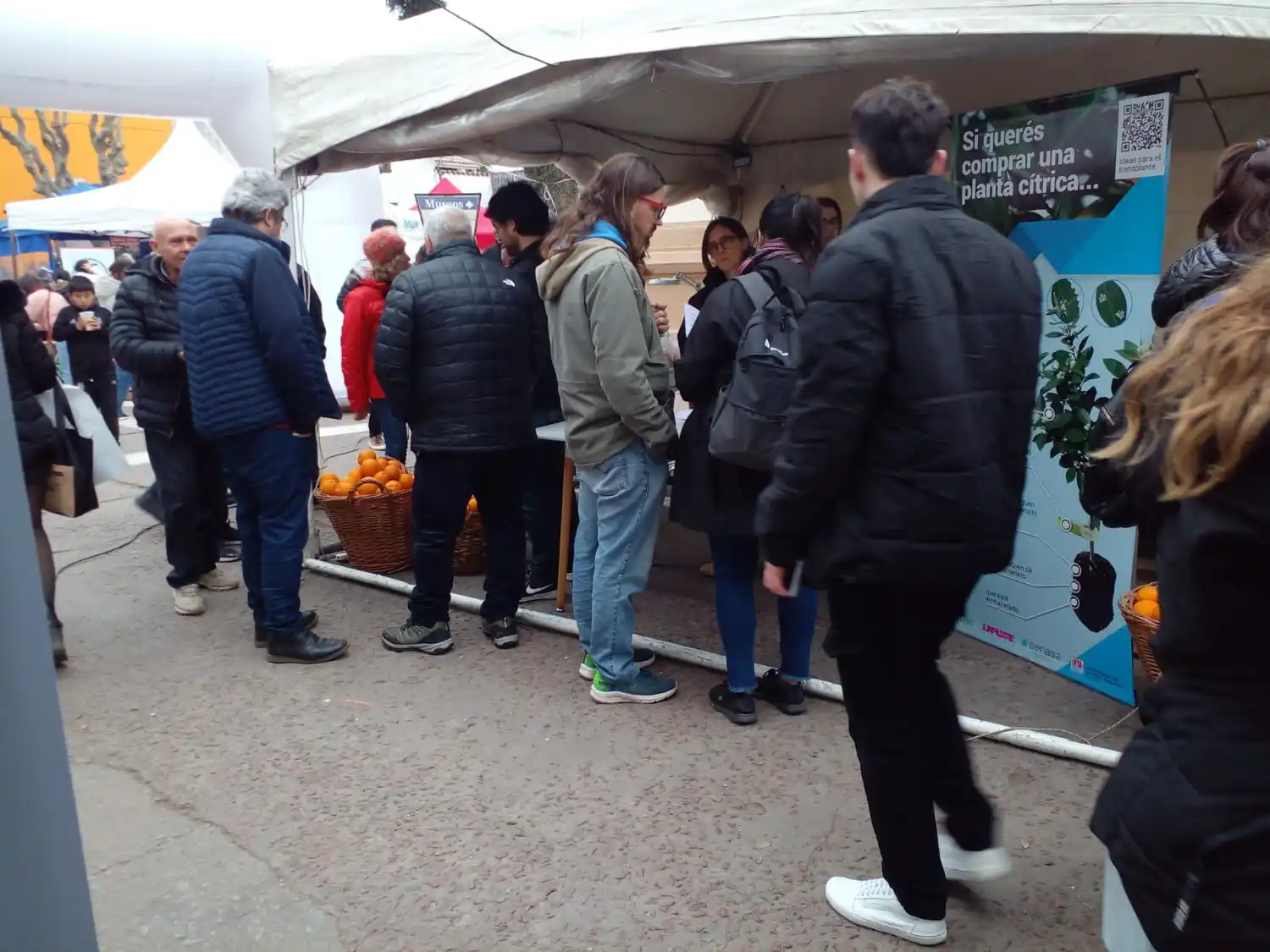 ministro rodríguez salazar fiesta de la naranja