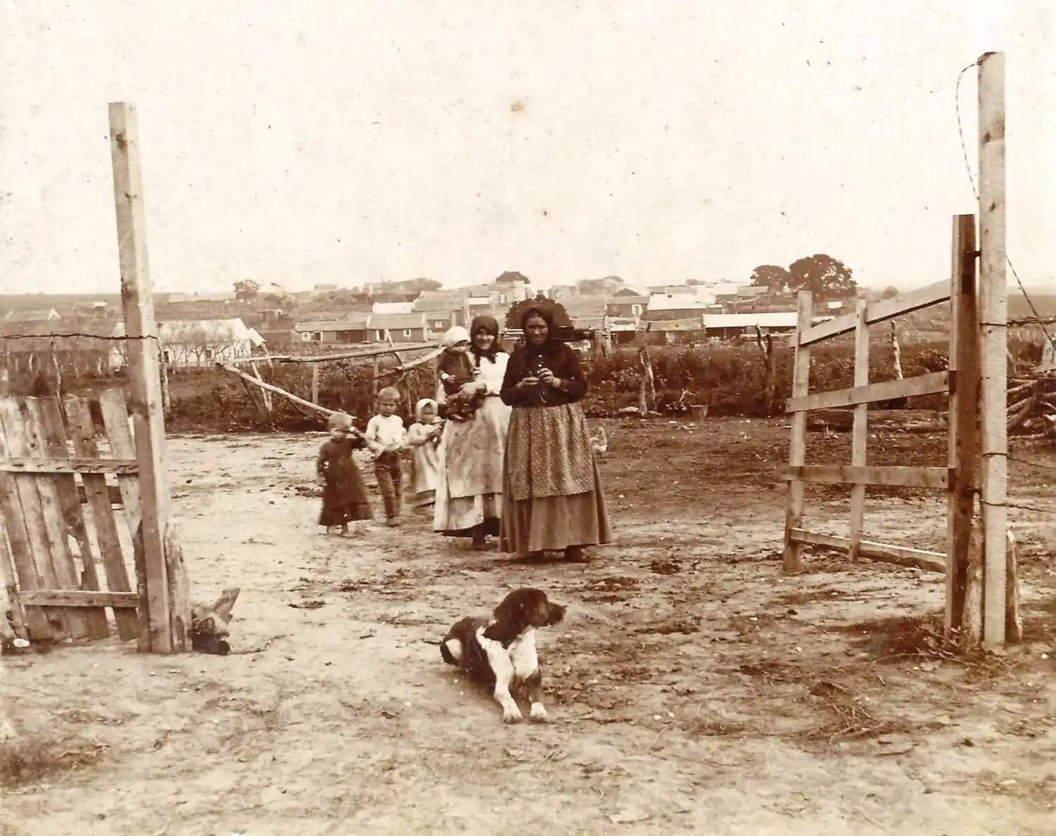 Día del alemán del Volga en la Argentina: Más de 2,5 millones de personas de esta descendencia celebran hoy su día