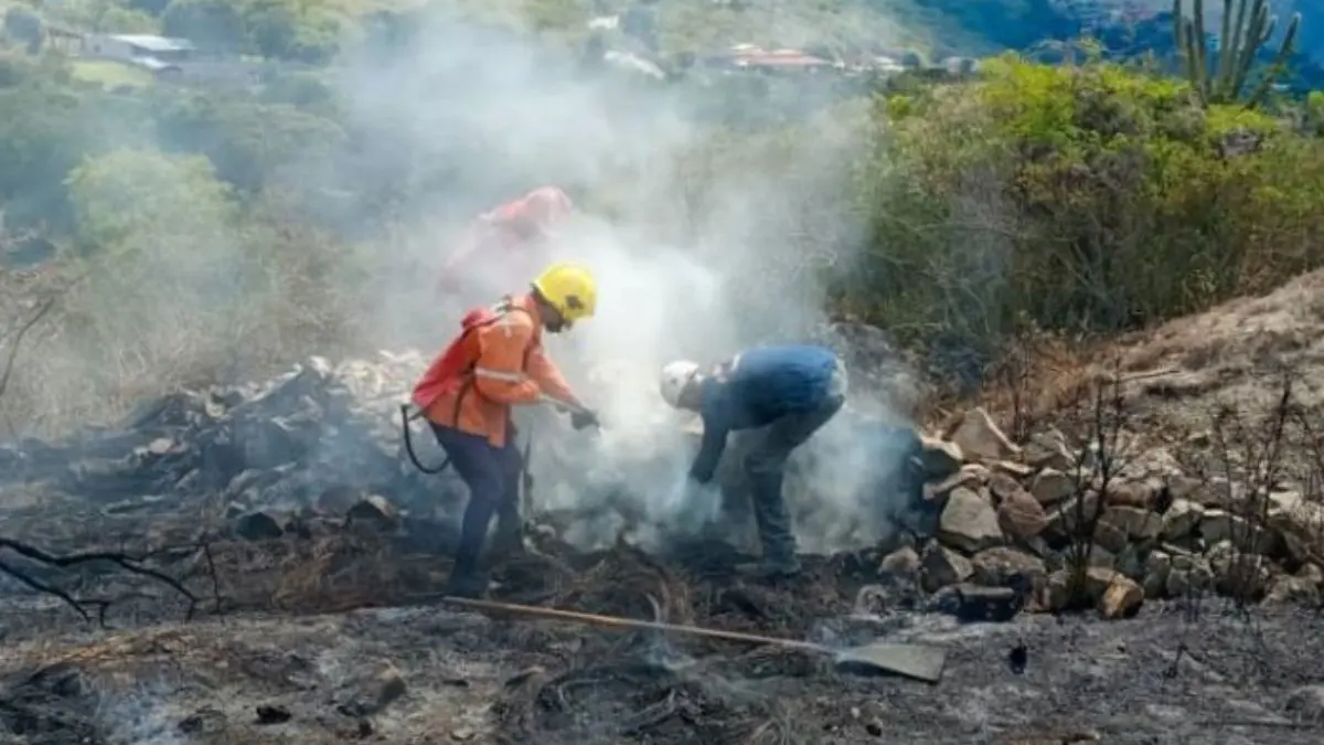 ¡TÁCHIRA EN LLAMAS! Incendio devora parte del páramo El Zumbador (Video)