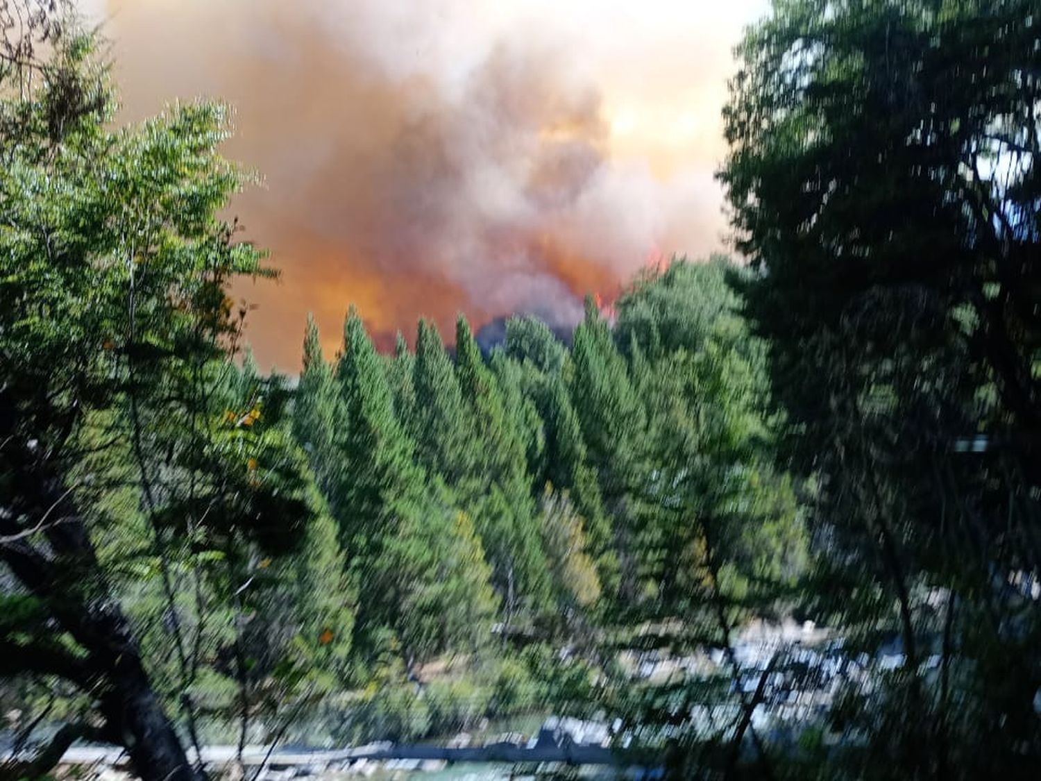 Confirmaron que los incendios en Epuyén y El Bolsón fueron intencionales