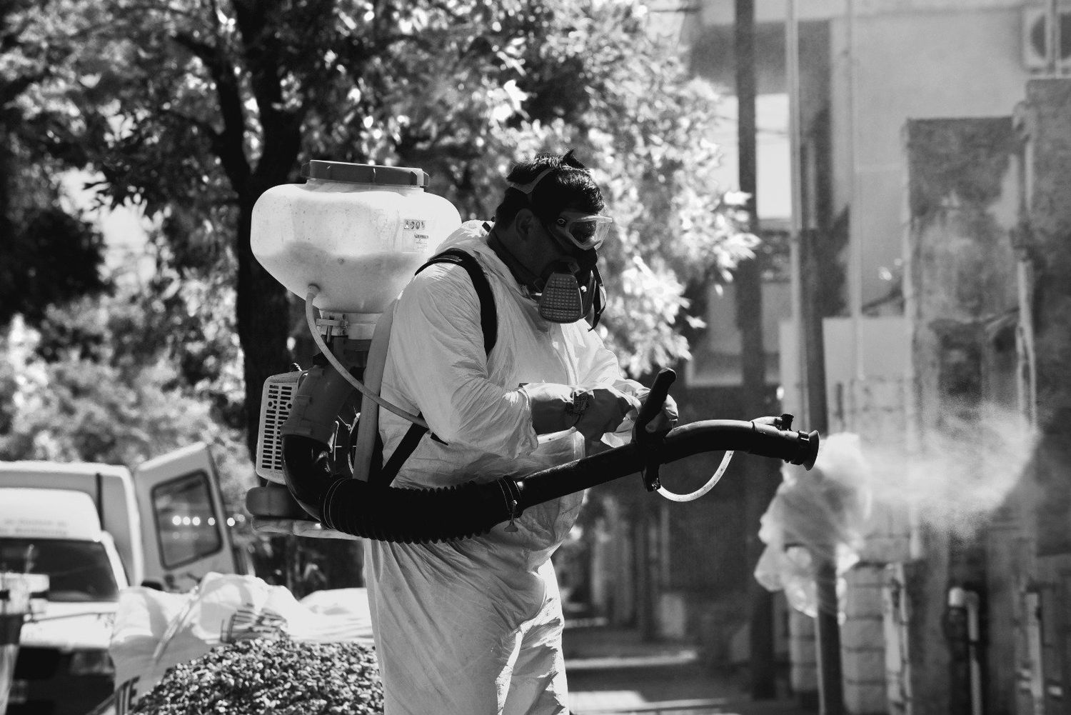 Dengue: vacunas y otras medidas para no llegar tarde