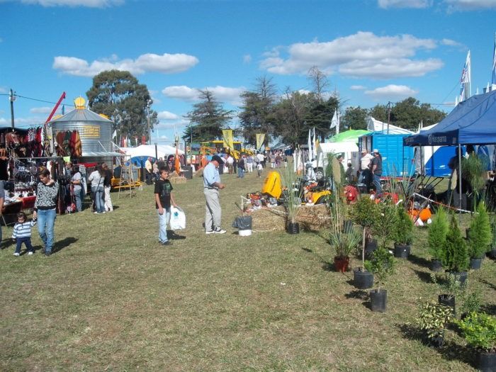 Fiesta del Chacarero 2024 en Azul