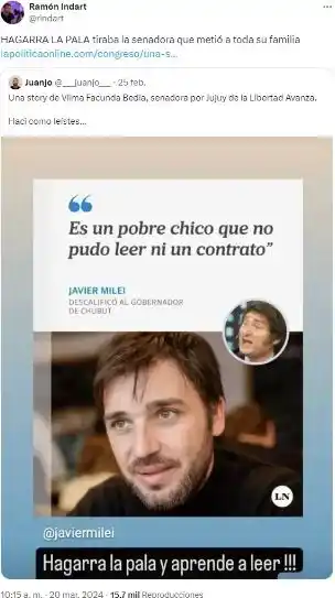 vilma facunda vedia milei - 3