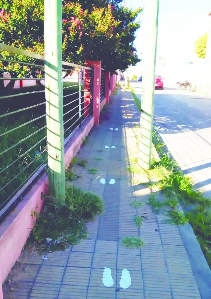 La odisea de recorrer Victoria en silla de ruedas