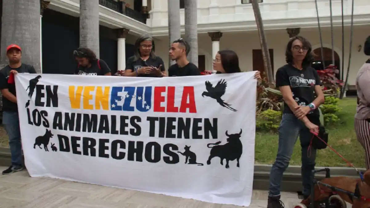 Ley sobre el trato digno a los animales incluye mecanismos de protección para los cuidadores