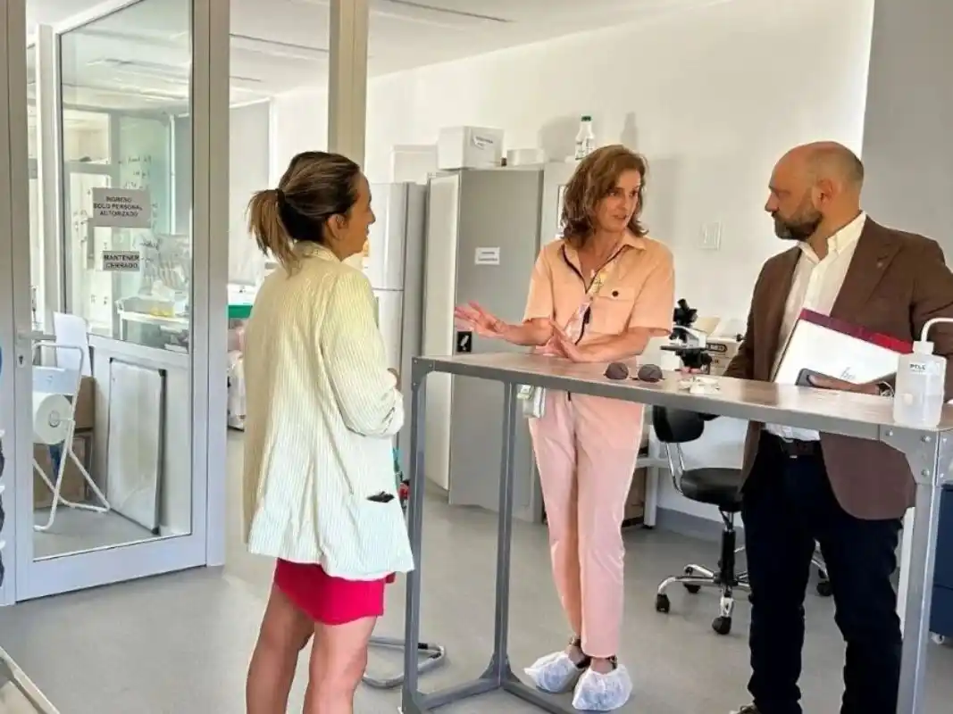 Los proyectos ganadores abordan temáticas diversas