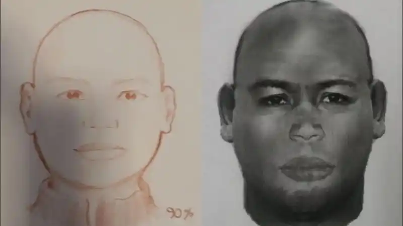 Arrestaron a un hombre e investigan si cometió ocho ataques sexuales