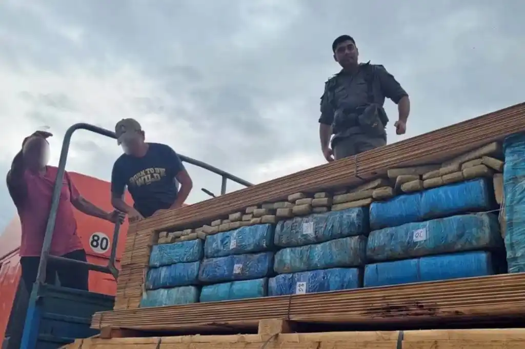 Marihuana oculta entre las maderas