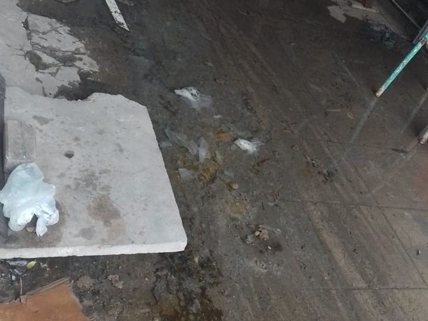 Cloacas tapadas en Martín Fierro al 1500