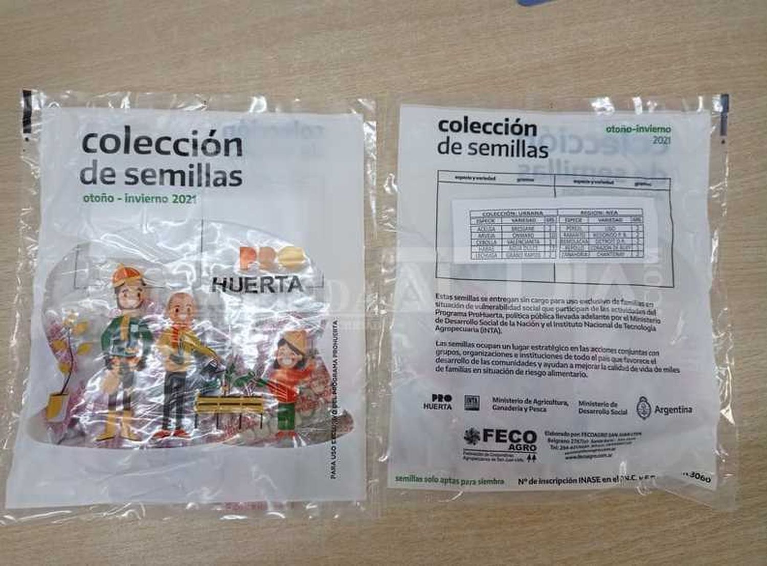 Entrega de semillas de estación a pequeños productores