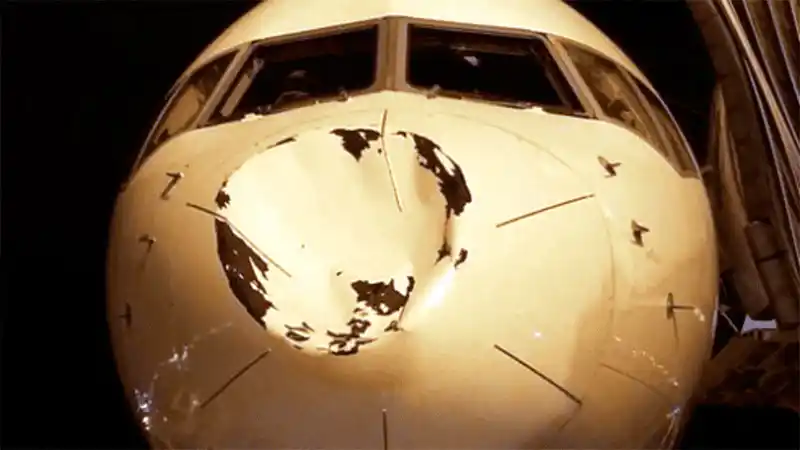 Un avión con jugadores de la NBA chocó de frente contra un OVNI