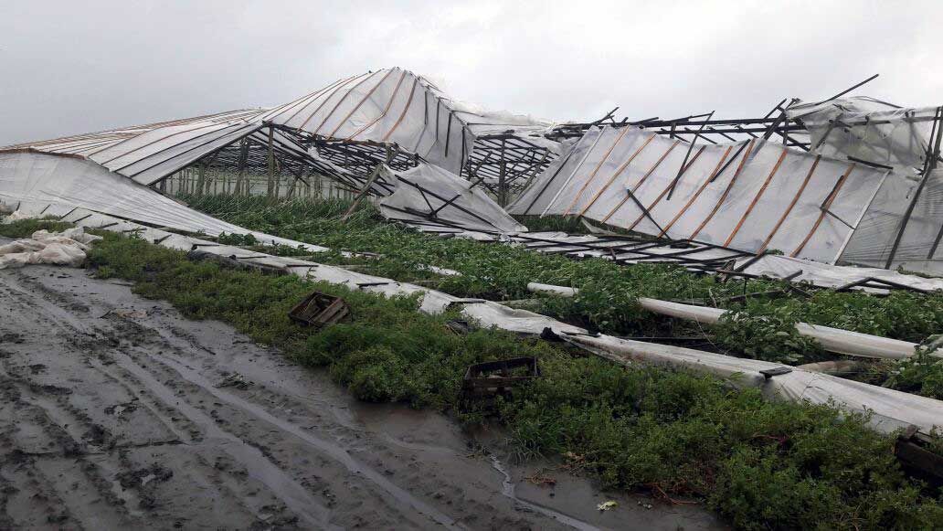 El temporal generó graves pérdidas en el cordón frutihortícola