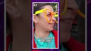 Ara pregunta: ¿qué sabés sobre los naranjos amargos de las calles de la ciudad?