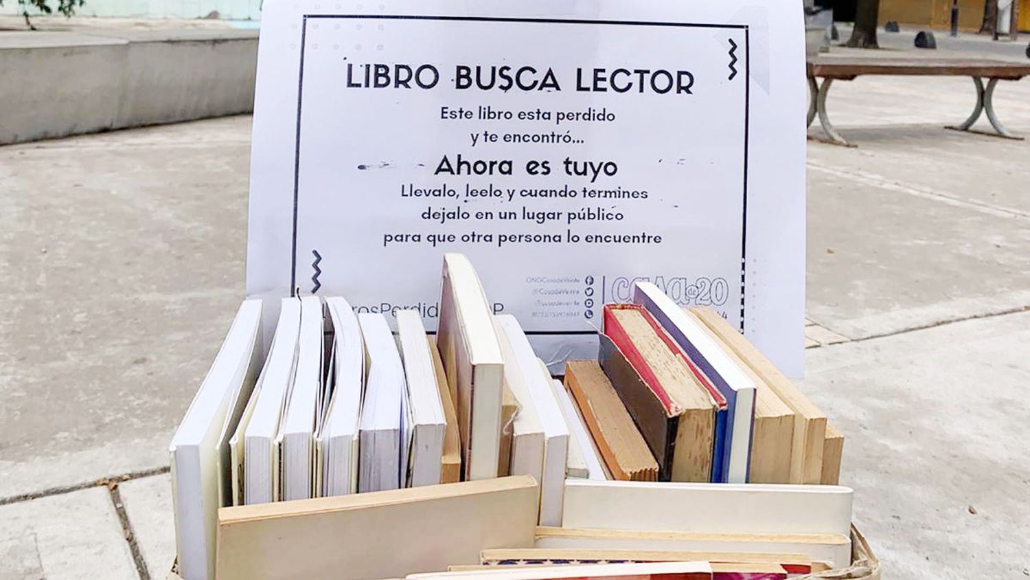 "Siembra de Libros": un proyecto que distribuye textos gratis en espacios públicos