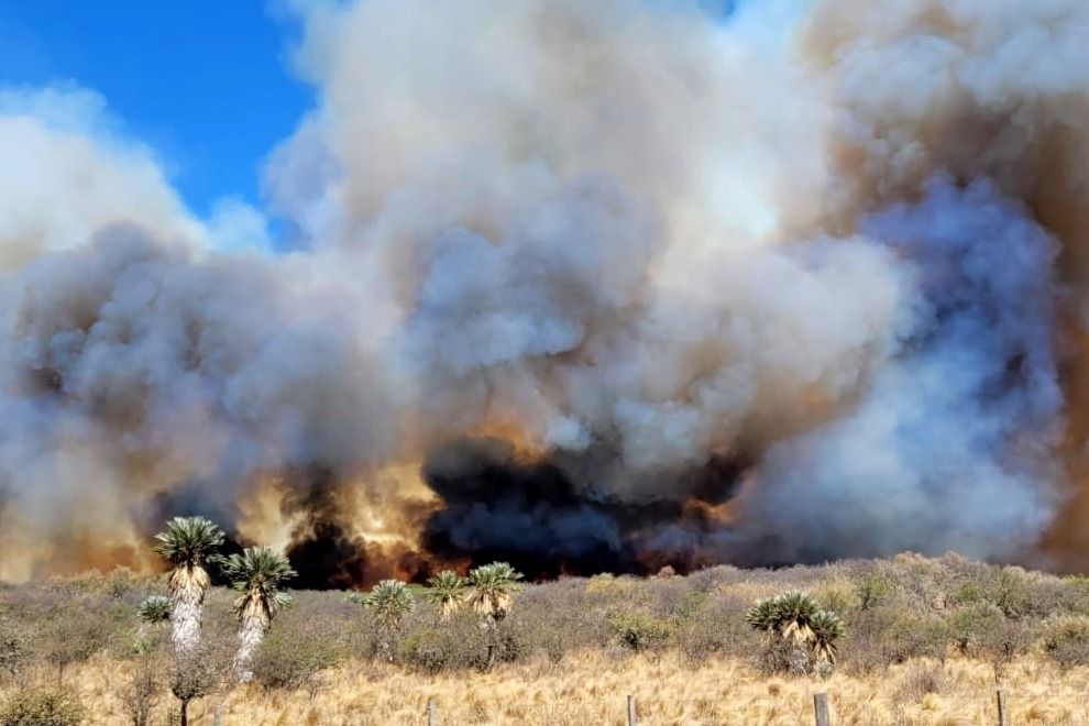 En toda la provincia, todavía rige una alerta por riesgo de incendios extremos.
