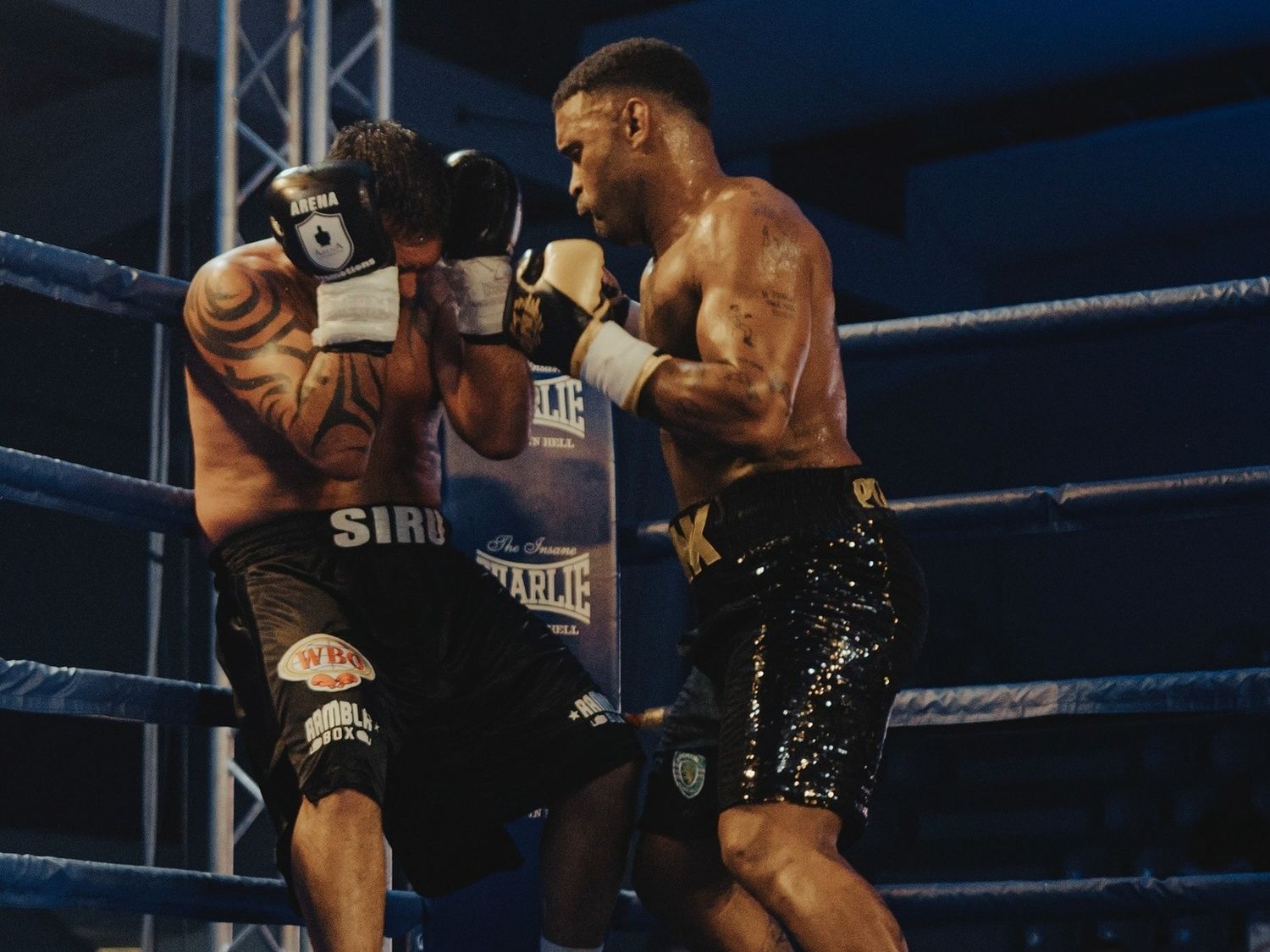 Rubén Acosta vs. Octavio Pudivitr - Boxeo profesional - 3