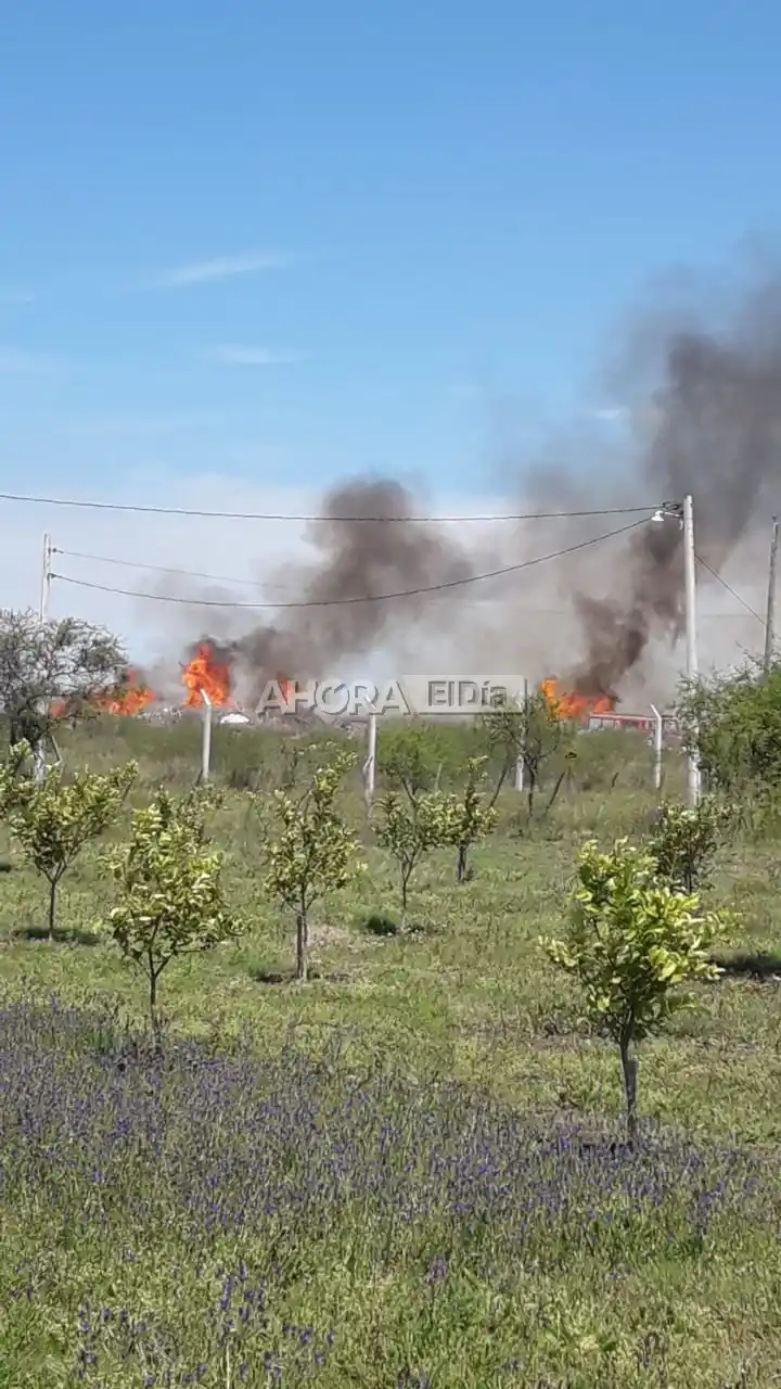 FUEGO PUEBLO BELGRANO - 1