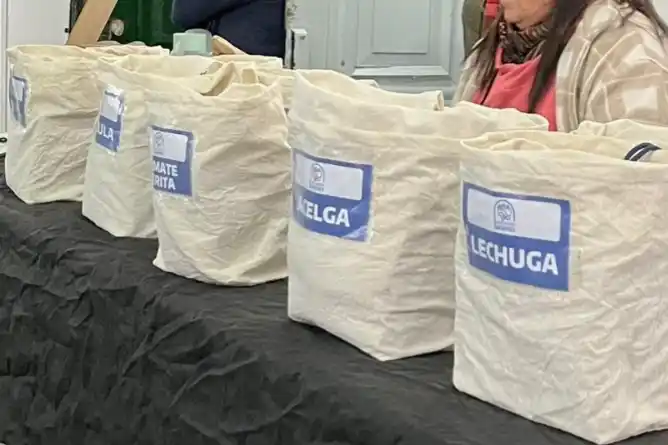 Continúa la entrega de semillas de la temporada primavera-verano en Chascomús
