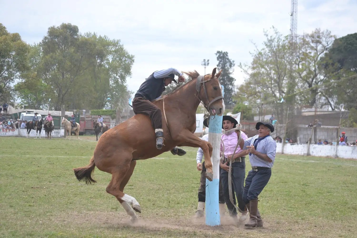 Fernando Menescardi: “el caballo de la jineteada es el mejor tratado”