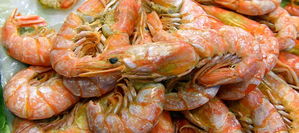 Tras un año de negociación, Argentina exportará langostinos a Australia