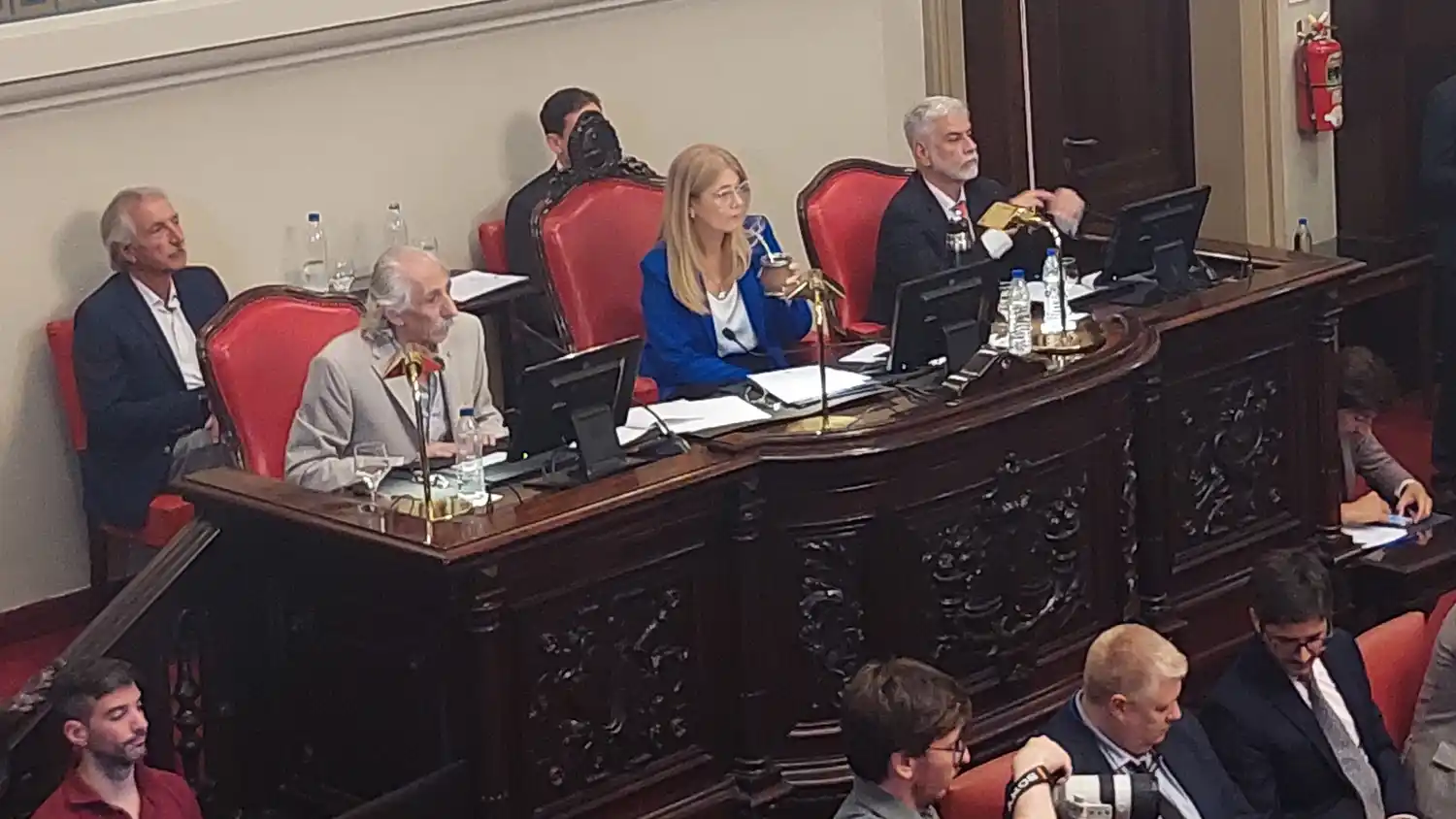 Magario presidiendo una sesión del Senado