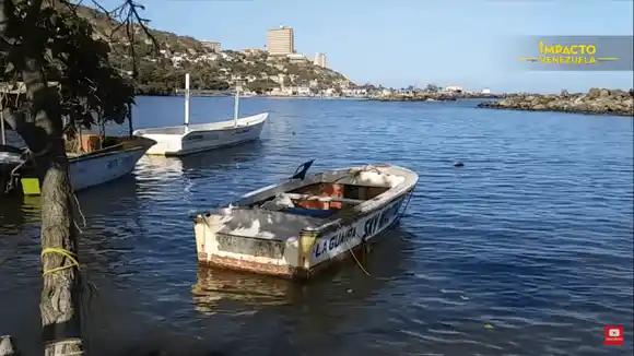 Pescan para no morir de hambre – Impacto Venezuela