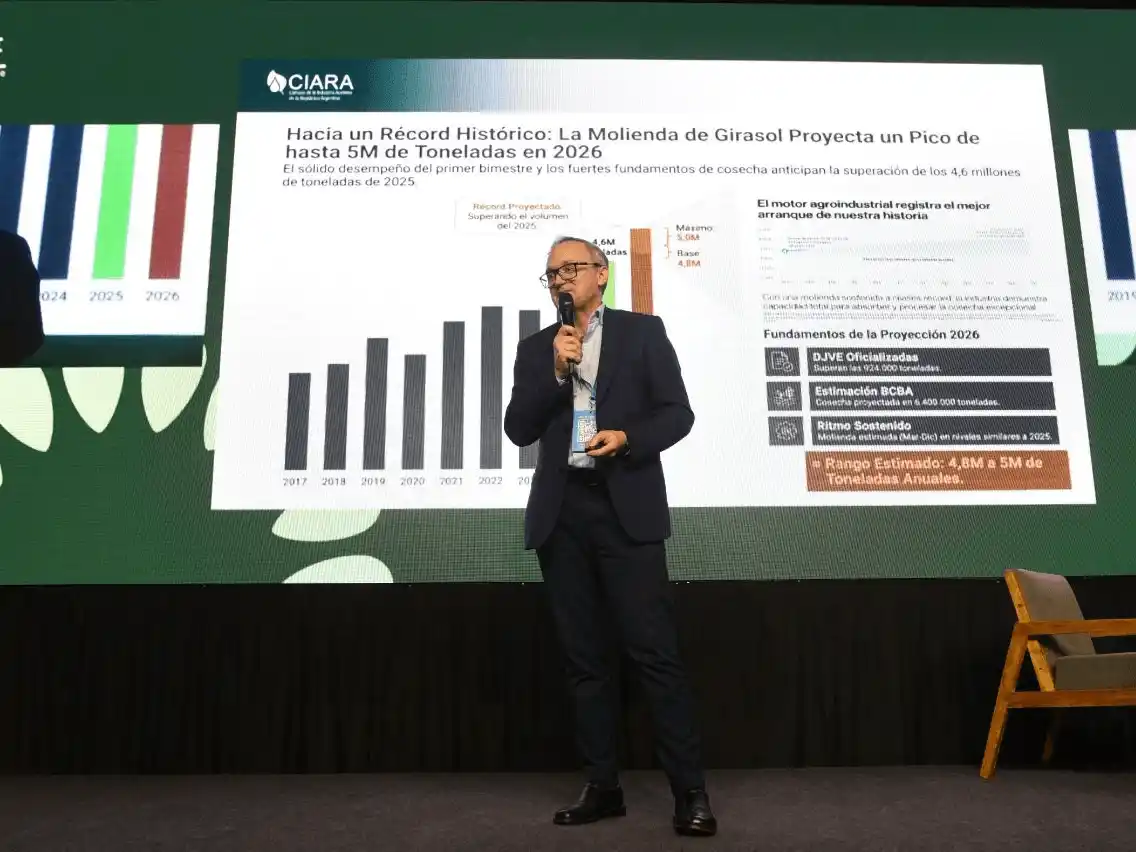 Las retenciones, la luz amarilla en el girasol: la cadena pide ser considerada una economía regional