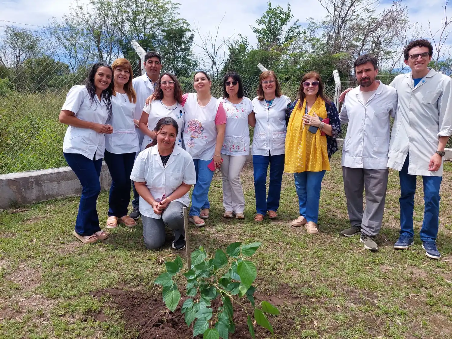 “Gualeguay te quiero verde”, la insistencia de plantar árboles