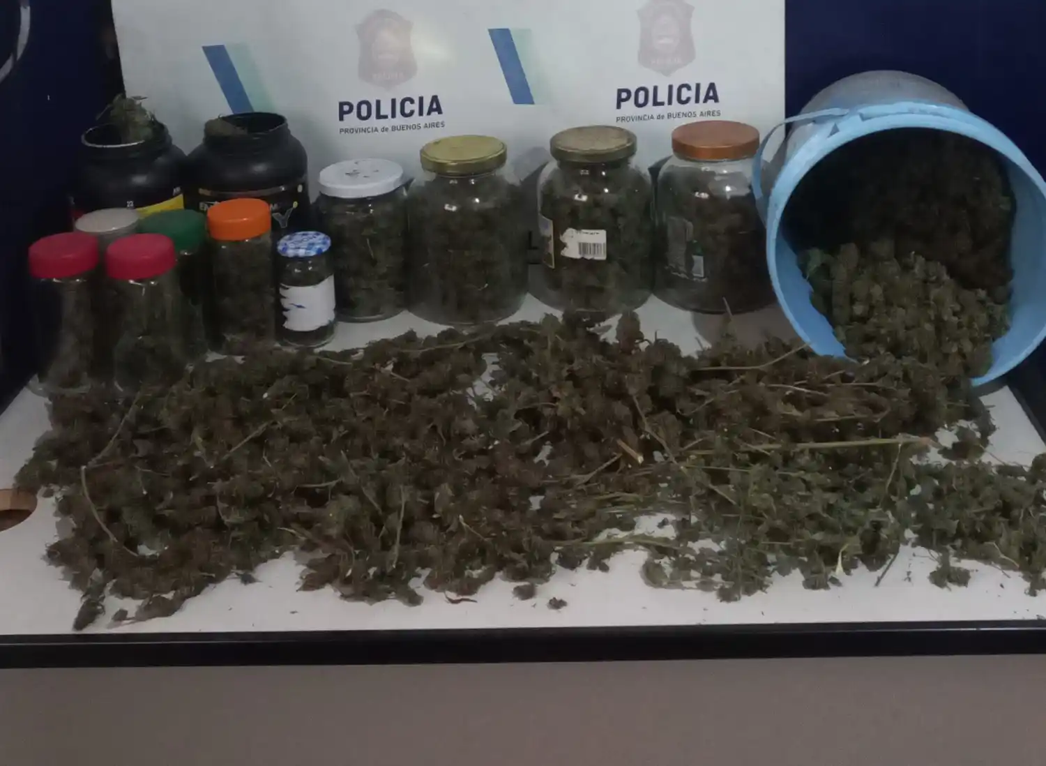 Durante uno de los allanamientos se secuestró una cantidad significativa de cannabis sativa.
