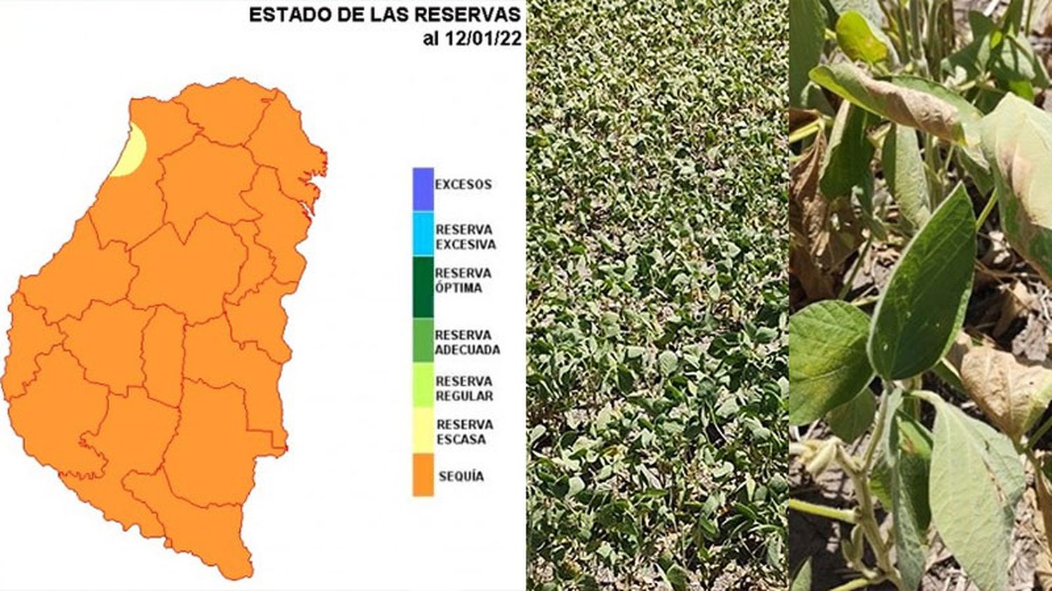 En medio de jornadas muy hostiles, la sequía castiga a toda Entre Ríos