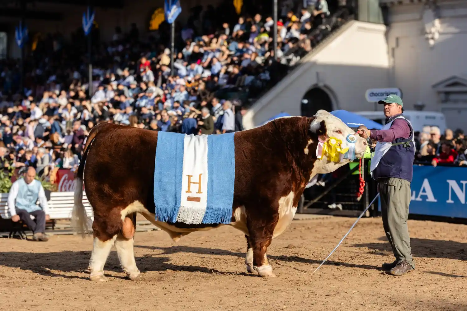 Los Murmullos y Tres Colonias, los Grandes Campeones de Hereford