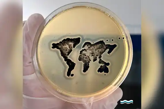 Estudiantes de la provincia ganaron un premio internacional por crear mapamundi de bacterias