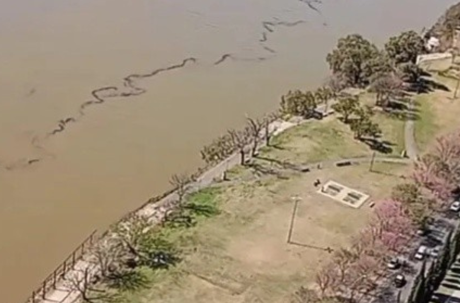 Un buque del puerto de San Lorenzo tuvo una pérdida de aceite y la mancha negra de la sustancia llegó hasta Rosario