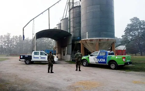 Hallan en una planta de acopio la carga de girasol sustraída
