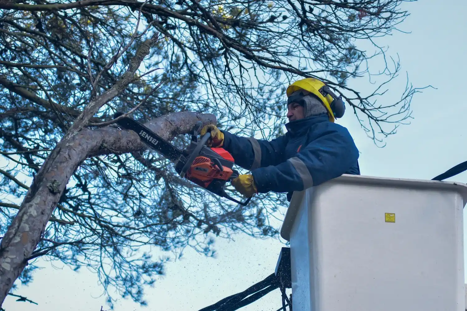 Las intervenciones tuvieron como fin despejar cámaras de seguridad, semáforos, luminarias y tendidos eléctricos.