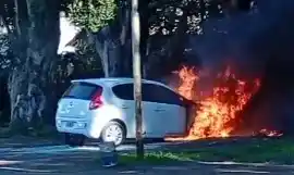 La rápida reacción de miembros del club evitó daños mayores. Imagen: captura video.