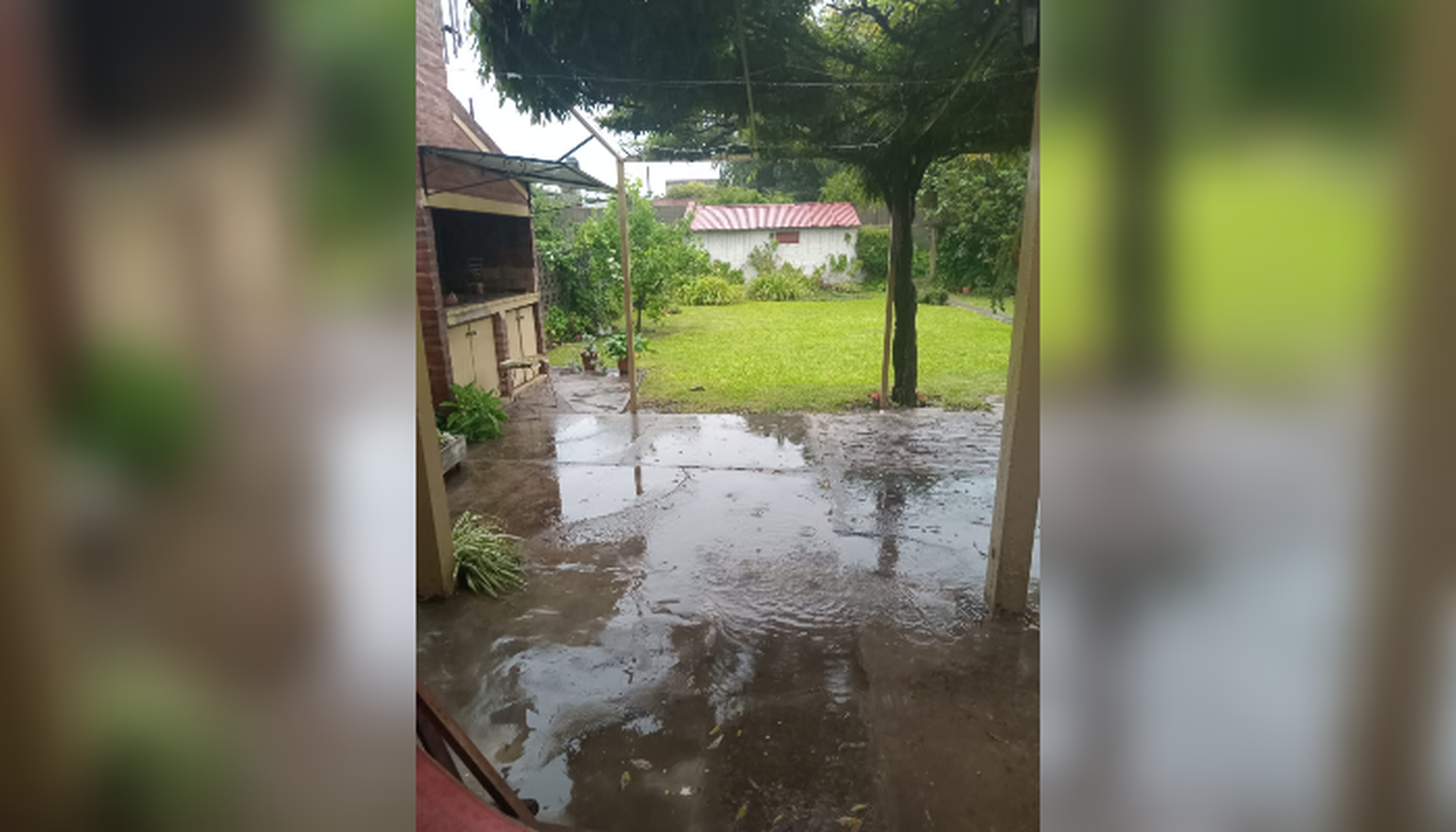 "Buena y hermosa lluvia"