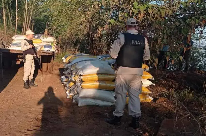 Megaoperativo en Misiones: Prefectura desarticuló una maniobra de exportación ilegal