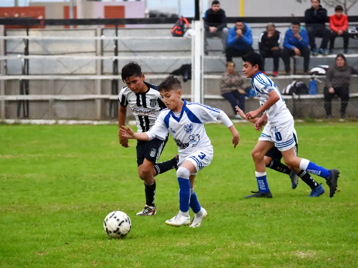 Se viene el Torneo Clausura