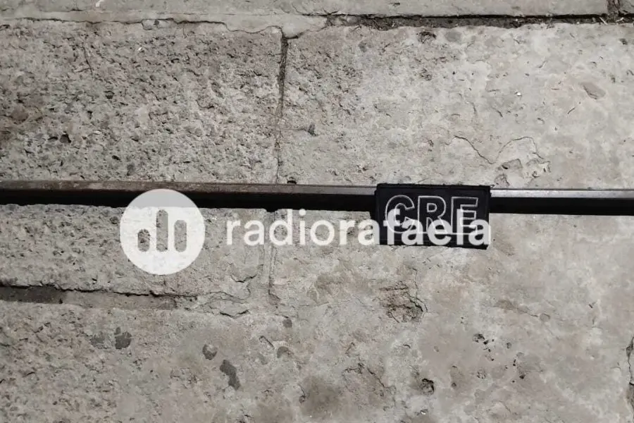 Agarró a palazos a su vecino